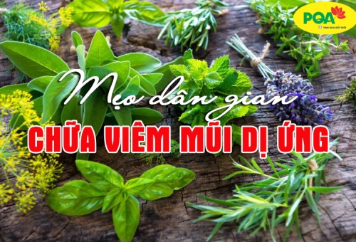12+ mẹo chữa viêm mũi dị ứng theo dân gian hiệu quả nhất